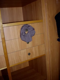 Scrunchie